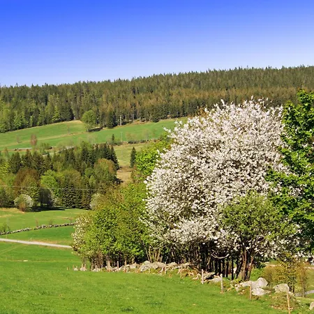 Baernriegel * Mauth