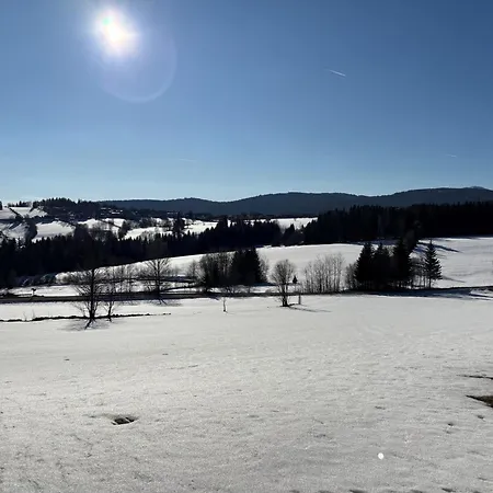 Hotel Baernriegel Mauth