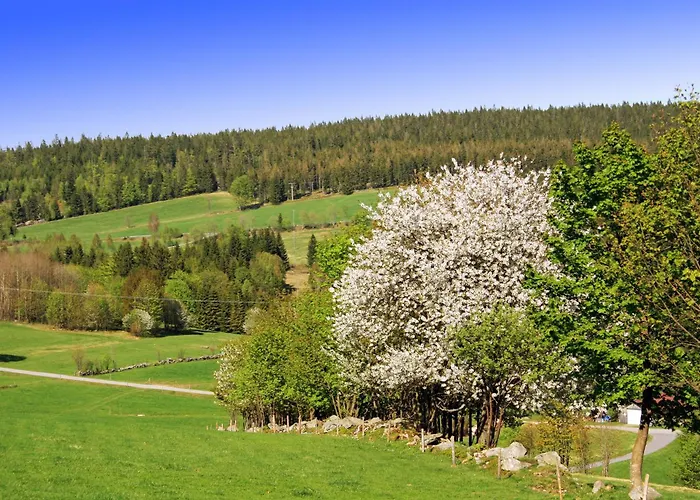 Baernriegel * Mauth